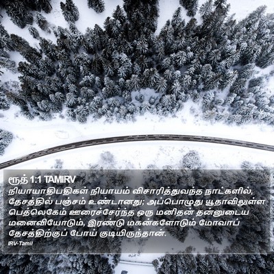 ரூத் 1:1 TAMIRV Bible Verse Image