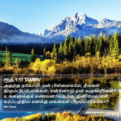 ரூத் 1:11 TAMIRV Bible Verse Image