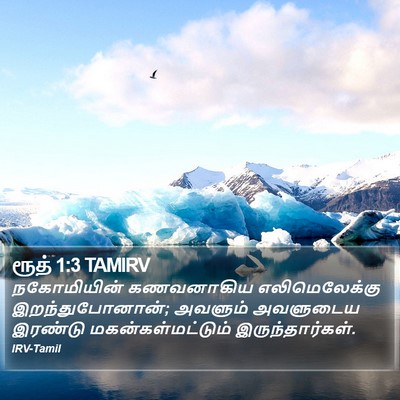 ரூத் 1:3 TAMIRV Bible Verse Image