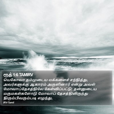 ரூத் 1:6 TAMIRV Bible Verse Image