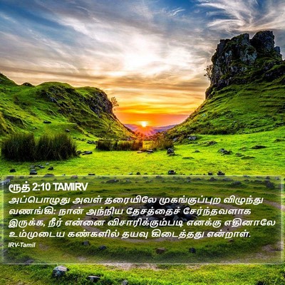 ரூத் 2:10 TAMIRV Bible Verse Image