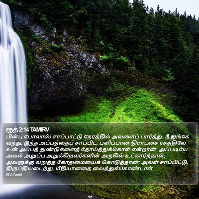 ரூத் 2:14 TAMIRV Bible Verse Image