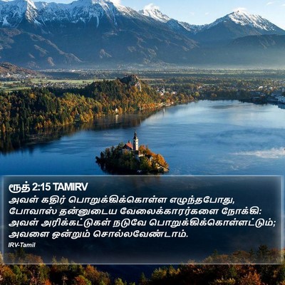 ரூத் 2:15 TAMIRV Bible Verse Image