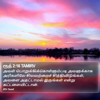 ரூத் 2:16 TAMIRV Bible Verse Image