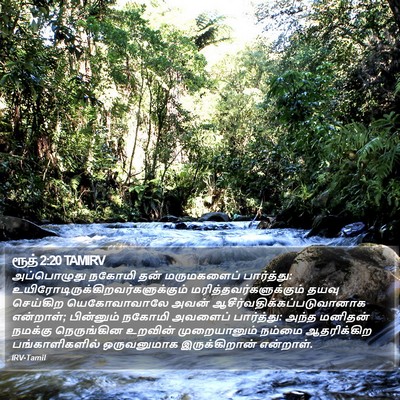 ரூத் 2:20 TAMIRV Bible Verse Image