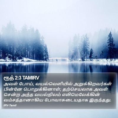ரூத் 2:3 TAMIRV Bible Verse Image