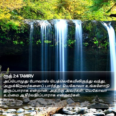 ரூத் 2:4 TAMIRV Bible Verse Image