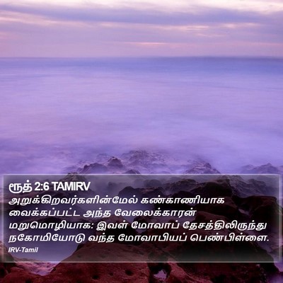 ரூத் 2:6 TAMIRV Bible Verse Image