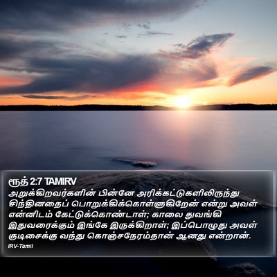 ரூத் 2:7 TAMIRV Bible Verse Image