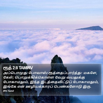 ரூத் 2:8 TAMIRV Bible Verse Image