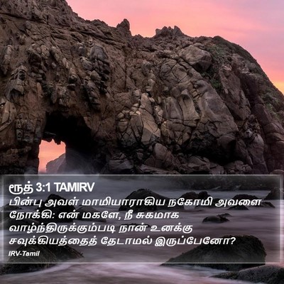 ரூத் 3:1 TAMIRV Bible Verse Image
