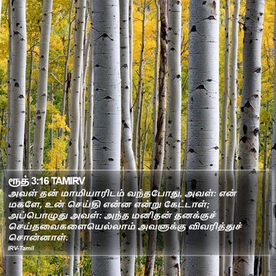 ரூத் 3:16 TAMIRV Bible Verse Image