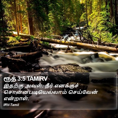 ரூத் 3:5 TAMIRV Bible Verse Image