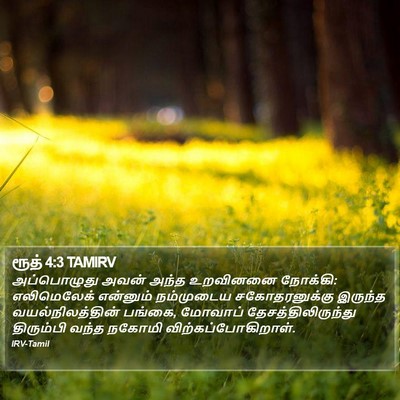 ரூத் 4:3 TAMIRV Bible Verse Image