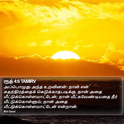 ரூத் 4:6 TAMIRV Bible Verse Image
