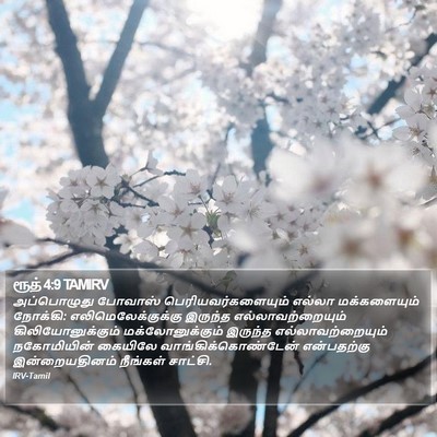 ரூத் 4:9 TAMIRV Bible Verse Image