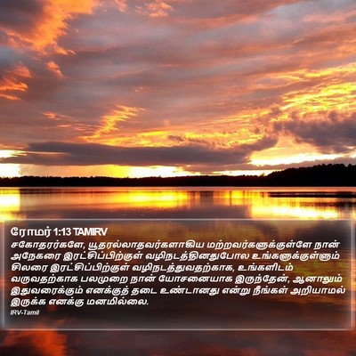 ரோமர் 1:13 TAMIRV Bible Verse Image