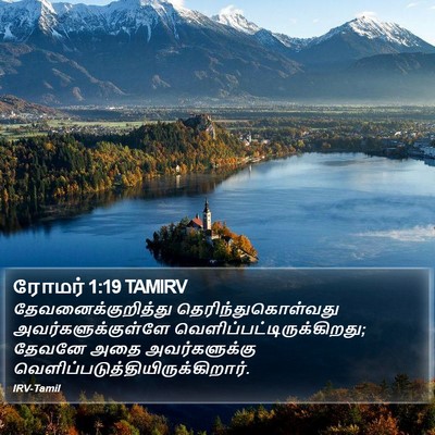 ரோமர் 1:19 TAMIRV Bible Verse Image