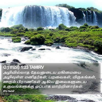 ரோமர் 1:23 TAMIRV Bible Verse Image