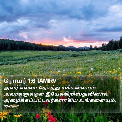 ரோமர் 1:6 TAMIRV Bible Verse Image