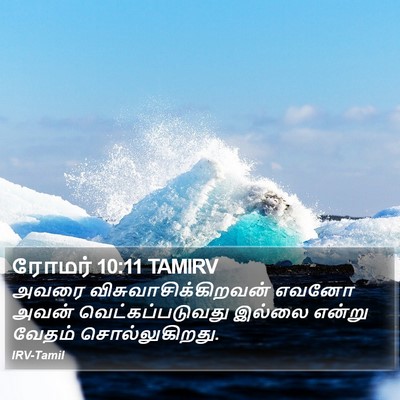 ரோமர் 10:11 TAMIRV Bible Verse Image