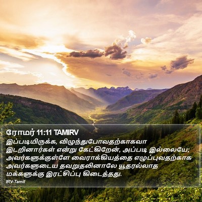 ரோமர் 11:11 TAMIRV Bible Verse Image