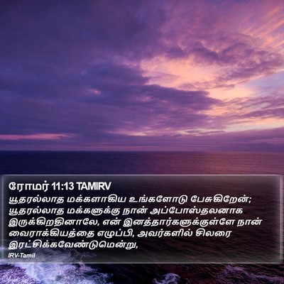 ரோமர் 11:13 TAMIRV Bible Verse Image