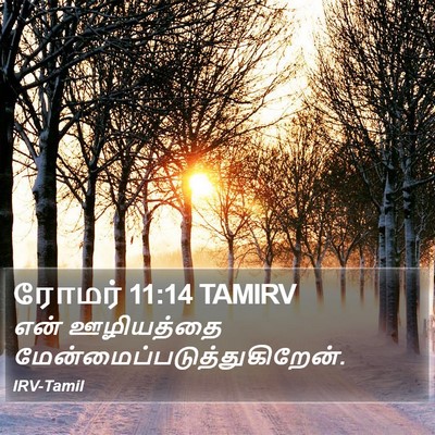 ரோமர் 11:14 TAMIRV Bible Verse Image