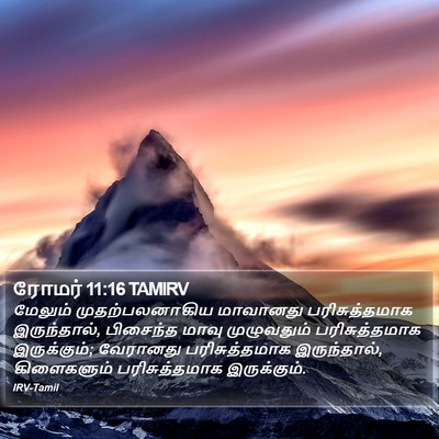 ரோமர் 11:16 TAMIRV Bible Verse Image