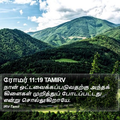 ரோமர் 11:19 TAMIRV Bible Verse Image