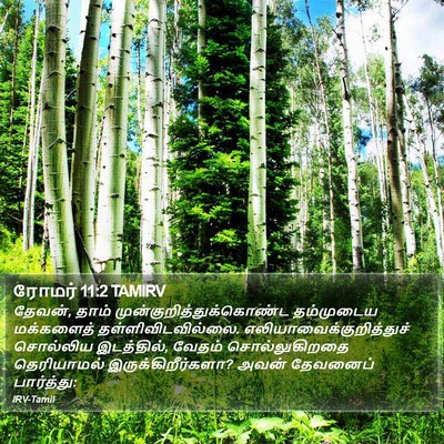 ரோமர் 11:2 TAMIRV Bible Verse Image
