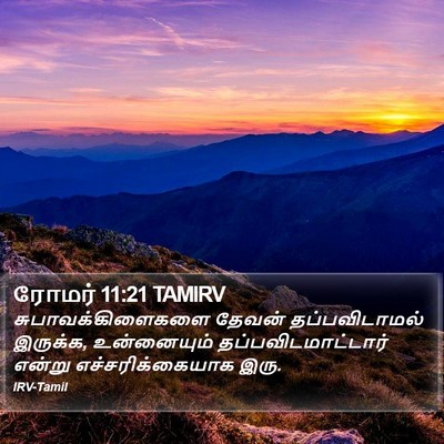 ரோமர் 11:21 TAMIRV Bible Verse Image