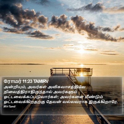 ரோமர் 11:23 TAMIRV Bible Verse Image