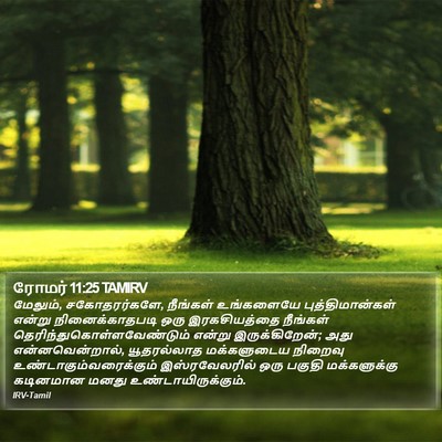 ரோமர் 11:25 TAMIRV Bible Verse Image