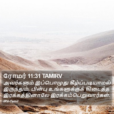 ரோமர் 11:31 TAMIRV Bible Verse Image