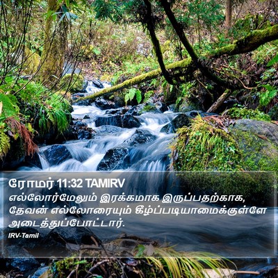 ரோமர் 11:32 TAMIRV Bible Verse Image