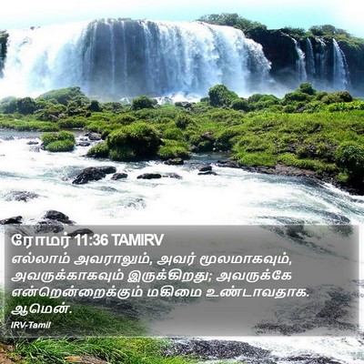 ரோமர் 11:36 TAMIRV Bible Verse Image
