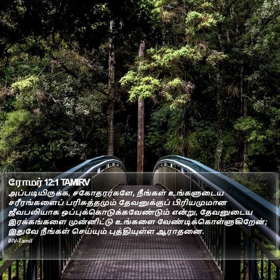 ரோமர் 12:1 TAMIRV Bible Verse Image