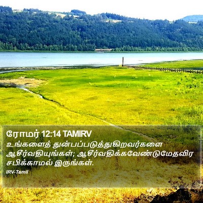 ரோமர் 12:14 TAMIRV Bible Verse Image