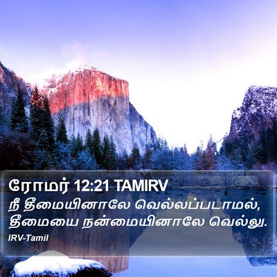 ரோமர் 12:21 TAMIRV Bible Verse Image