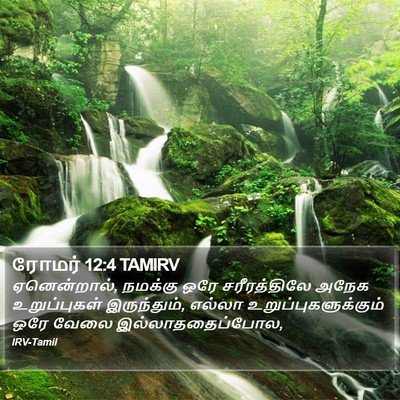 ரோமர் 12:4 TAMIRV Bible Verse Image