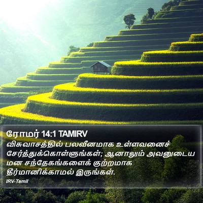 ரோமர் 14:1 TAMIRV Bible Verse Image