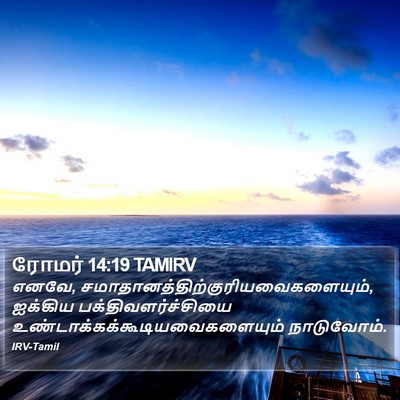 ரோமர் 14:19 TAMIRV Bible Verse Image