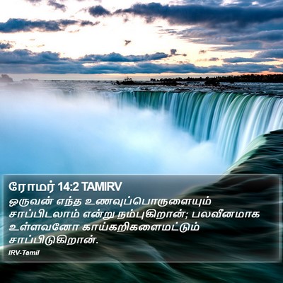ரோமர் 14:2 TAMIRV Bible Verse Image