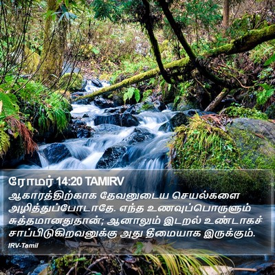 ரோமர் 14:20 TAMIRV Bible Verse Image