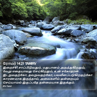 ரோமர் 14:21 TAMIRV Bible Verse Image