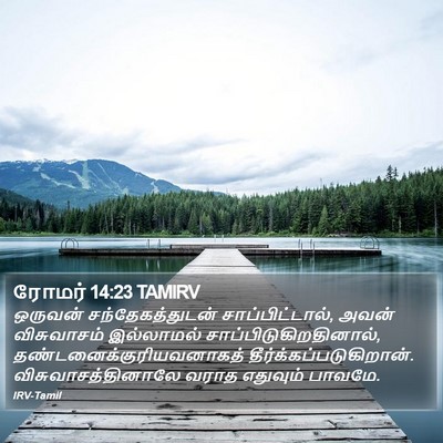 ரோமர் 14:23 TAMIRV Bible Verse Image