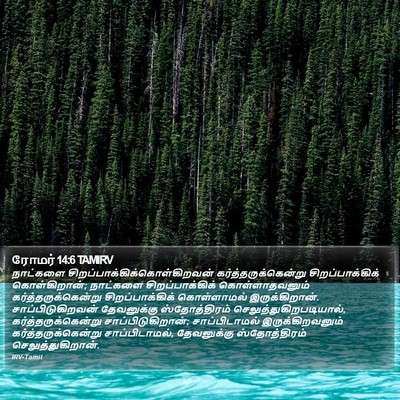 ரோமர் 14:6 TAMIRV Bible Verse Image