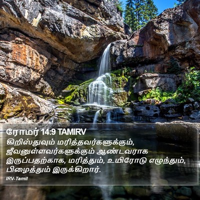 ரோமர் 14:9 TAMIRV Bible Verse Image