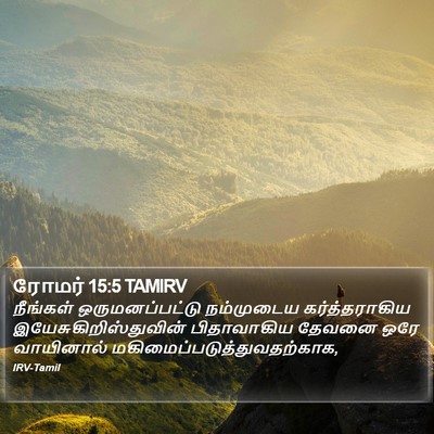 ரோமர் 15:5 TAMIRV Bible Verse Image